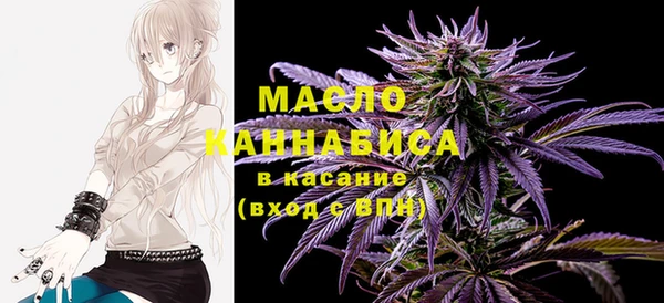 гашик Инсар